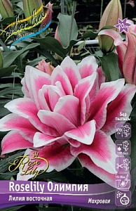 Лилия Roselily&Олимпия 12/14 1шт (КолЛайн) 3шт/уп