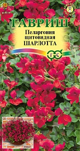 Пеларгония Шарлотта ампельная 3шт ц/п (Гавриш)