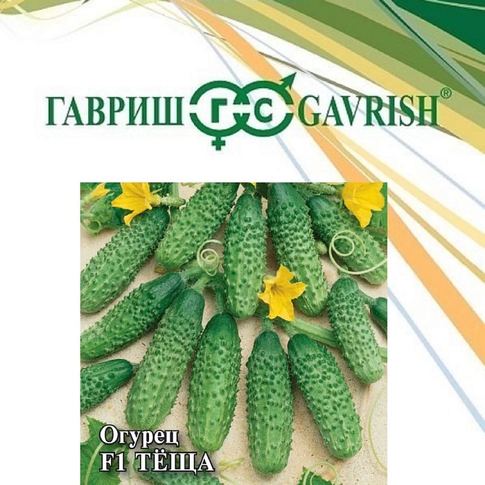 Огурец Теща F1 100шт (Гавриш)