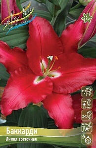 Лилия Баккарди 12/14 1шт (КолЛайн) 5шт/уп