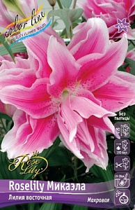 Лилия Roselily&Микаэла 12/14 1шт (КолЛайн) 5шт/уп