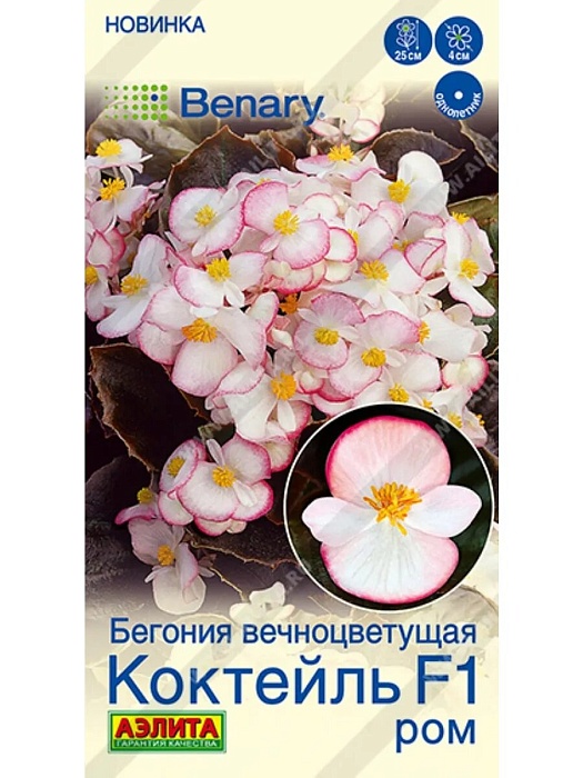 Бегония Коктейль F1 Ром 7шт ц/п (Аэлита)