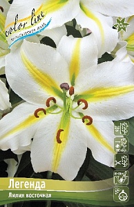 Лилия Легенда 1шт 12/14 (КолЛайн) 5шт/уп