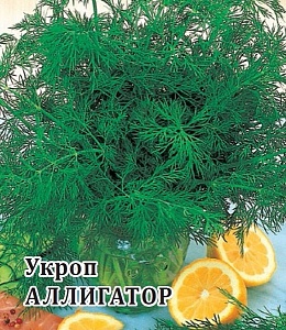 Укроп Аллигатор 50г (Гавриш)