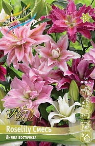 Лилия Roselily&Смесь 12/14 1шт КолЛайн (3шт/уп)