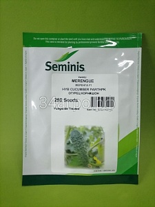 Огурец Меренга F1 250шт (RS)
