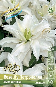 Лилия Roselily&Петронелла 12/14 1шт (КолЛайн) 