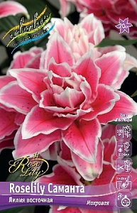 Лилия Roselily&Саманта 12/14 1шт (КолЛайн) 5шт/уп
