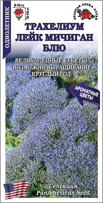 Трахелиум Лейк Мичиган Блю 5шт ц/п (З/Сотка) 