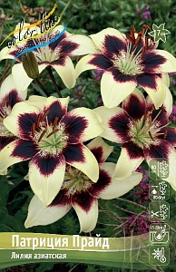Лилия Патриция Прайд 12/14 1шт (КолЛайн) 5шт/уп