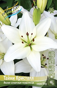 Лилия Тайни Кристалл 10/12 1шт (КолЛайн) 2шт/уп