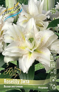 Лилия Roselily&Зита 12/14 1шт (КолЛайн) 
