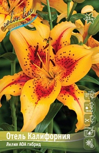Лилия Отель Калифорния 12/14 1шт (КолЛайн) 2шт/уп