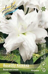 Лилия Roselily Анжела 12/14 1шт (КолЛайн) 