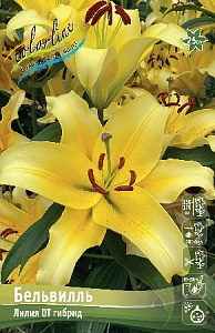 Лилия Бельвилль 12/14 1шт (КолЛайн) 5шт/уп